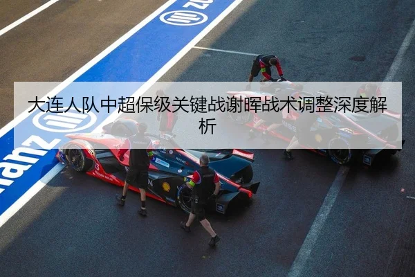 大连人队中超保级关键战谢晖战术调整深度解析